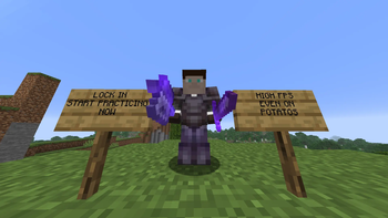 Banner photo
