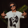 Dominicpex