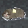 Potato cats