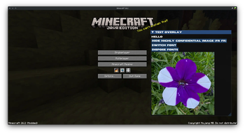 ImGuiB3D on Minecraft 26.2