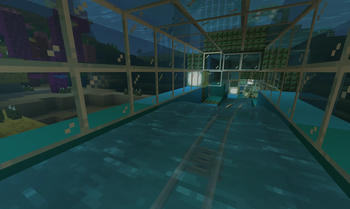 Underwater Tunnel