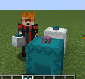 Shulker Box Lid Items
