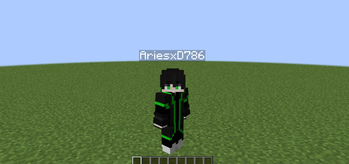 How It Looks In Third Person