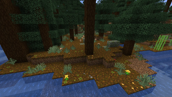 Podzol