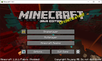 Minecraft Game Window