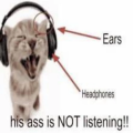 What Are They Listening To (WATLT)
