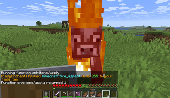 Fire Aspect 255 Applied