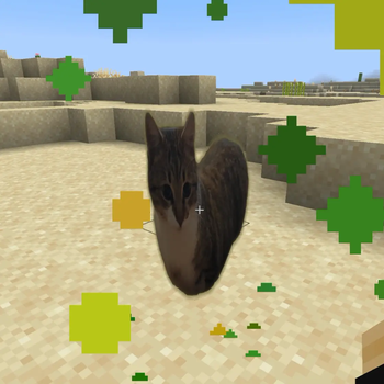 mysja — screenshot 2