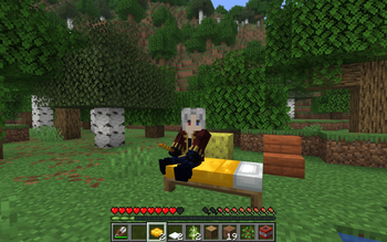 Invisible cushion