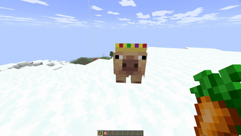 Cold pig