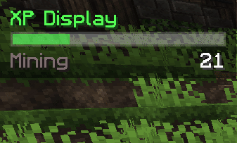 XP Display
