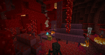 Nether Skeleton Camps