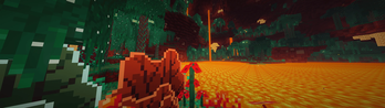 The Nether