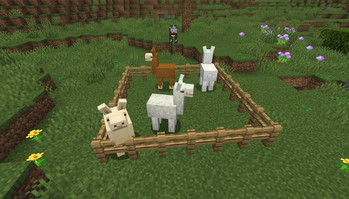 Remodeled Llamas