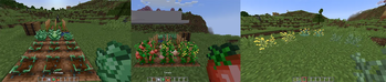 New Crops