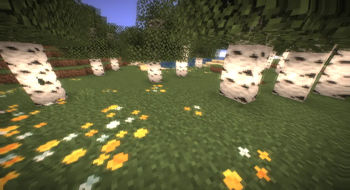Drunk Birch Forest