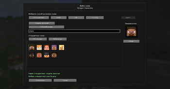 Change skin