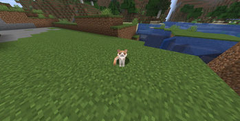 Example Cat