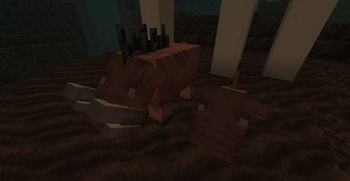 Soulsand Valley Hoglins