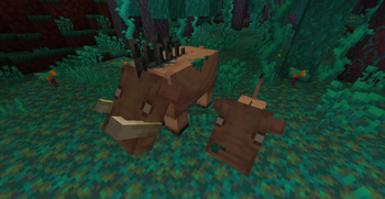 Warped Forest Hoglins