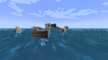 Albatrosses