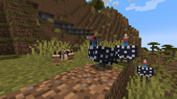 Guinea Fowls and keets