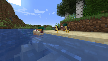 Ducks and ducklings