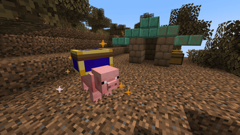 Treasure Pig