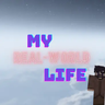 my real-world life