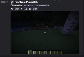 Ping Posts Screenshot on Webhook