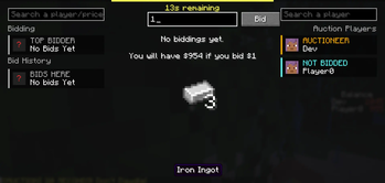 Auction Bidding Screen
