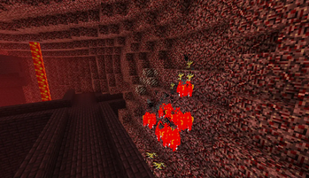 Nether