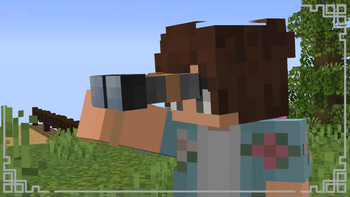 In game view