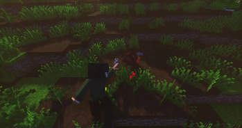 Combat + Third Person