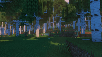 Deer in Birch Forest