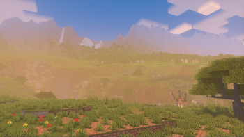 Mountain Savanna