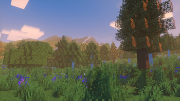 Meadow