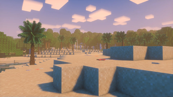 Beach with Forest