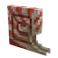 Nautilus Shield