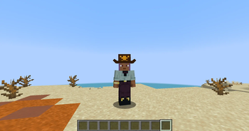 Brown Cowboy Hat