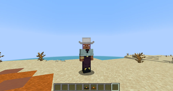 White Cowboy Hat