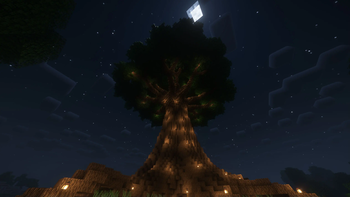 Big Oak Tree Night