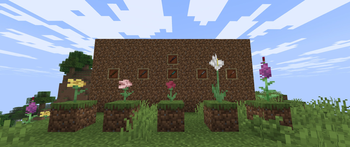global additions