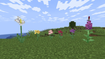 plants additions