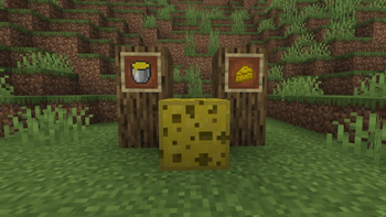 Cheese update