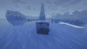 Items Can Be Placed/Spawn In Ice