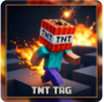 Tnt tag minigames