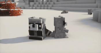 Two raccoons!