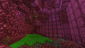 Acid Chamber (Flesh Mound)