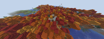 A Canopy of Red, Orange and Gold